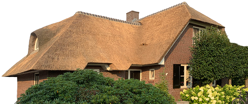 Voor onderhoud en mos en algen bestrijding